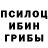 Псилоцибиновые грибы Cubensis Nazila Gurbanova