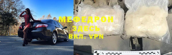 индика Арсеньев