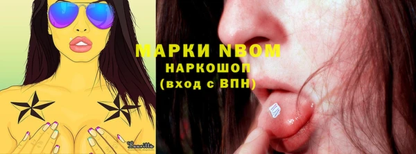 шишки Армянск