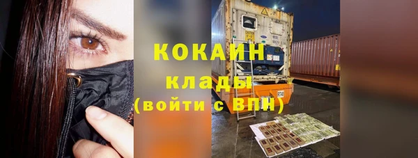 шишки Армянск