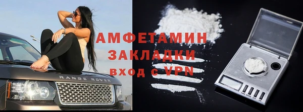 индика Арсеньев