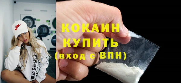 шишки Армянск