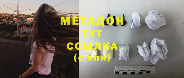 индика Арсеньев