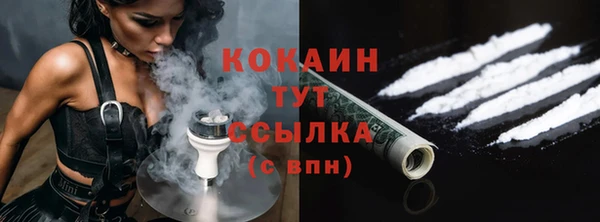 индика Арсеньев