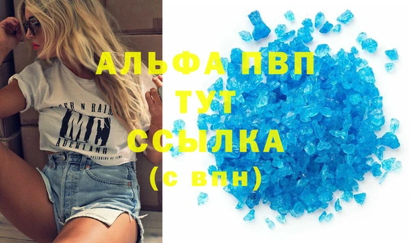 индика Арсеньев