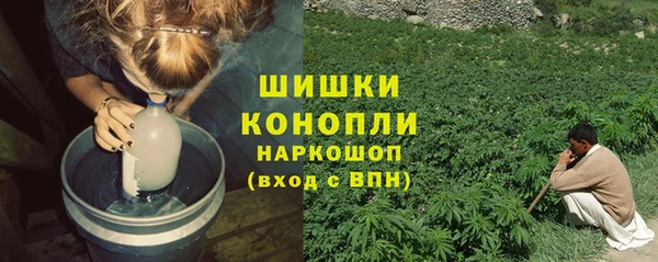 шишки Армянск