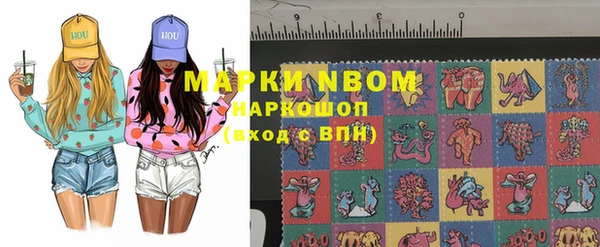 a pvp Аркадак