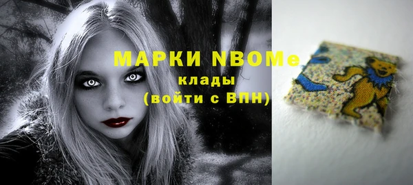 шишки Армянск