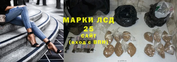 индика Арсеньев