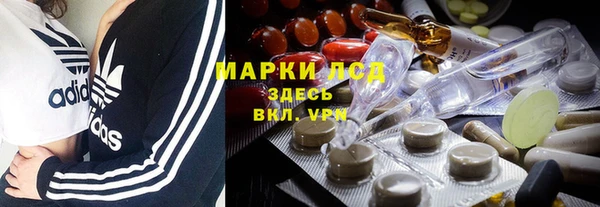 a pvp Аркадак