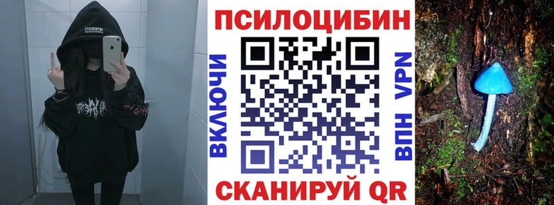 Псилоцибиновые грибы Cubensis  Барыш 